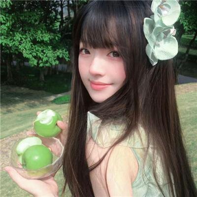 双生赤狐